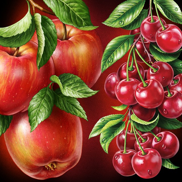 A branch of apples, a branch of cherry. Illustrations for packaging.