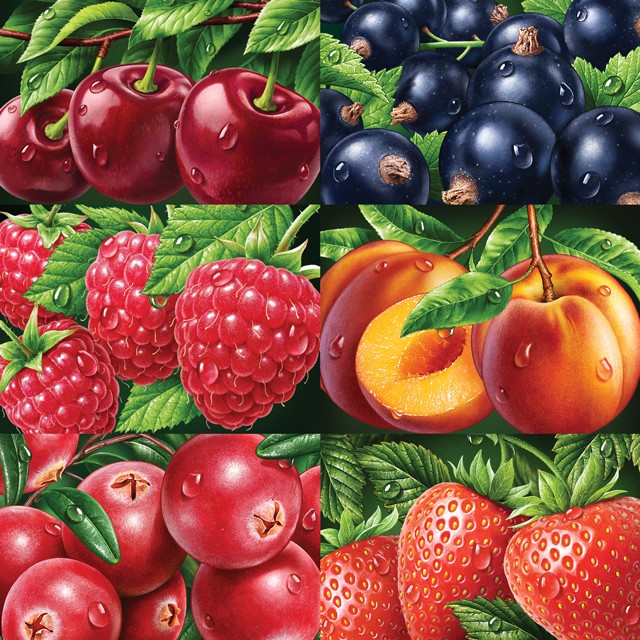 Berries. Illustrations for packaging.