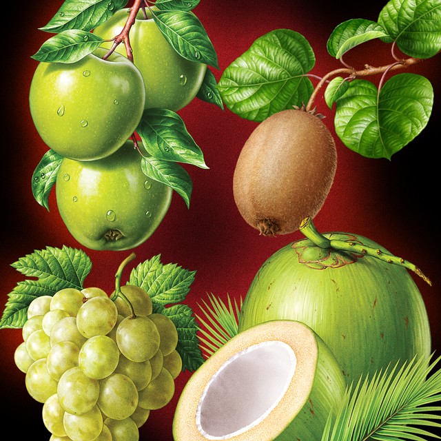 Kiwi, apples, grapes, coconut. Illustrations for packaging.