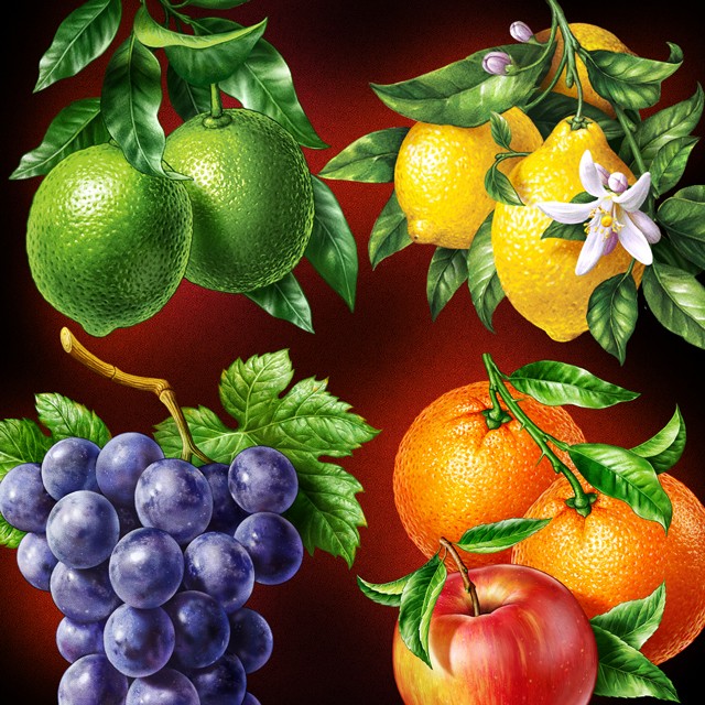 Grapes, oranges, apples, lemons, lime. Illustrations for packaging.