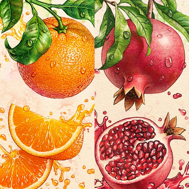 Orange, pomegranate. Watercolor.
