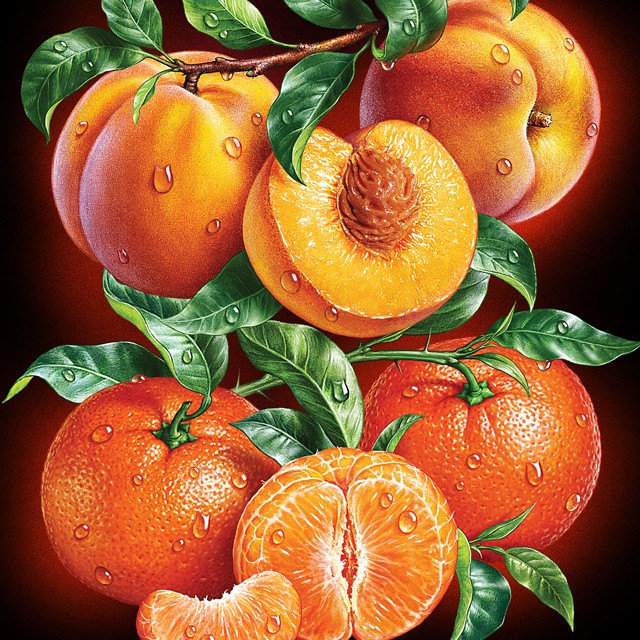 Peaches, tangerines. Illustrations for packaging.