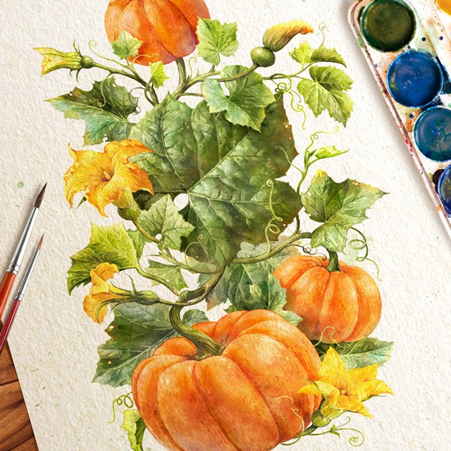 Pumpkin. Watercolor.