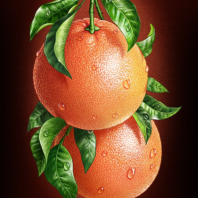 Grapefruit. Illustration for Rottaler juice.