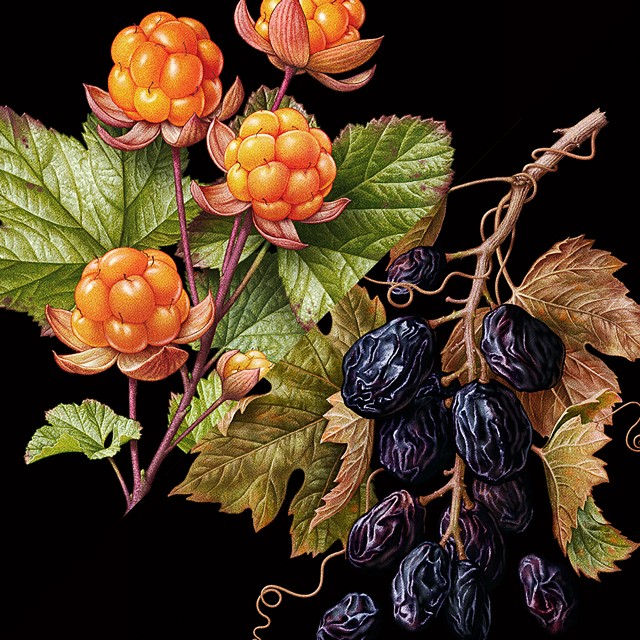 cloudberry-raisin