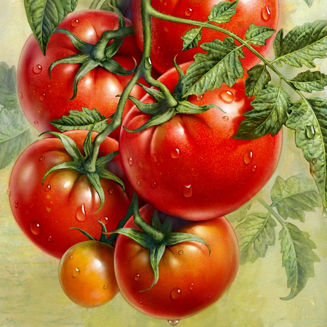 A branch of a tomato.