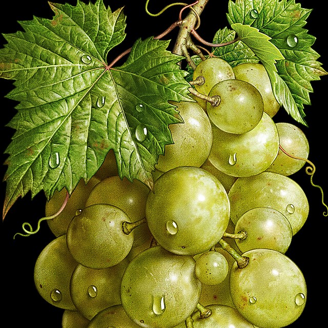 White grapes.